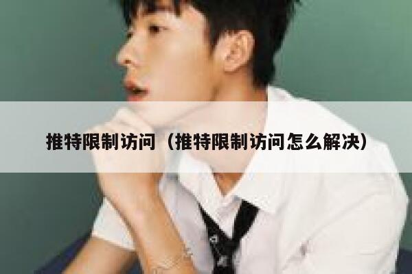 推特限制访问（推特限制访问怎么解决） 第1张