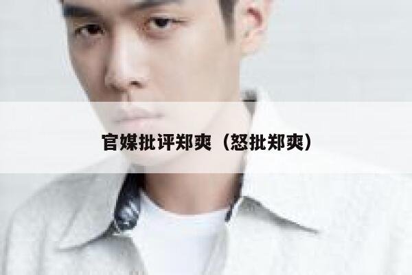 官媒批评郑爽（怒批郑爽） 第1张