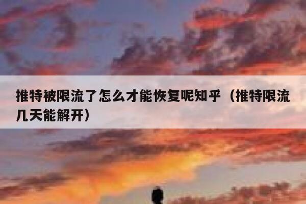 推特被限流了怎么才能恢复呢知乎(推特限流几天能解开) 第1张 推特被限流了怎么才能恢复呢知乎(推特限流几天能解开) 第1张