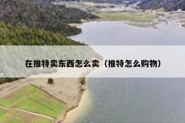 在推特卖东西怎么卖(推特怎么购物) 第1张 在推特卖东西怎么卖(推特怎么购物) 第1张