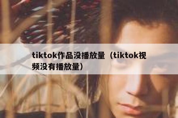 tiktok作品没播放量（tiktok视频没有播放量） 第1张
