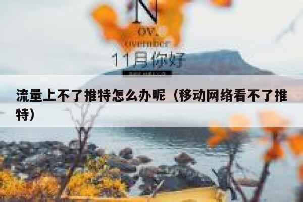 流量上不了推特怎么办呢（移动网络看不了推特） 第1张