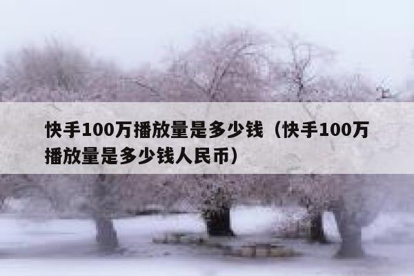 快手100万播放量是多少钱（快手100万播放量是多少钱人民币） 第1张