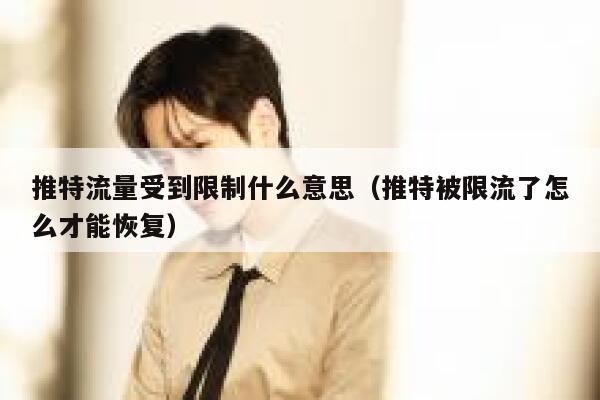 推特流量受到限制什么意思（推特被限流了怎么才能恢复） 第1张