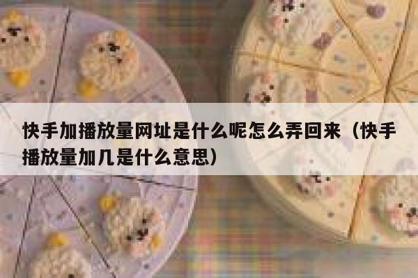 快手加播放量网址是什么呢怎么弄回来（快手播放量加几是什么意思） 第1张