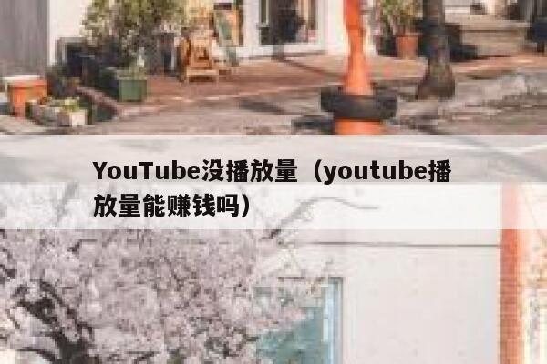 YouTube没播放量（youtube播放量能赚钱吗） 第1张