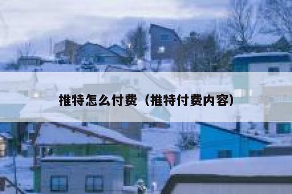 推特怎么付费（推特付费内容） 第1张