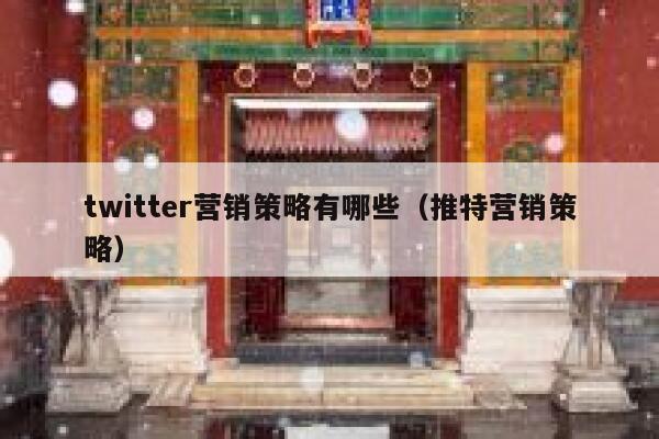 twitter营销策略有哪些（推特营销策略） 第1张