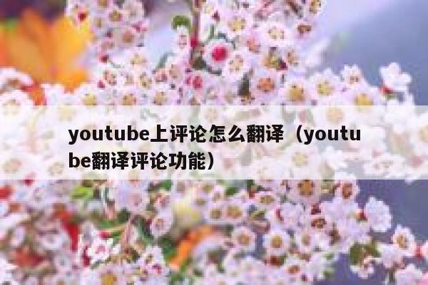 youtube上评论怎么翻译（youtube翻译评论功能） 第1张