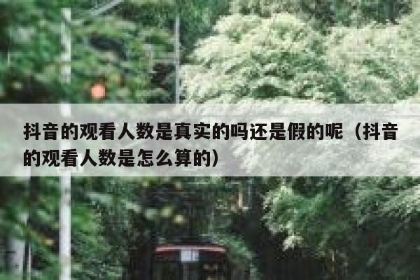 抖音的观看人数是真实的吗还是假的呢（抖音的观看人数是怎么算的） 第1张