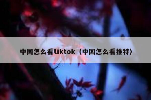 中国怎么看tiktok(中国怎么看推特) 第1张 中国怎么看tiktok(中国怎么看推特) 第1张