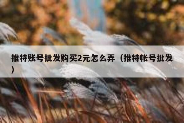 推特账号批发购买2元怎么弄(推特帐号批发) 第1张 推特账号批发购买2元怎么弄(推特帐号批发) 第1张