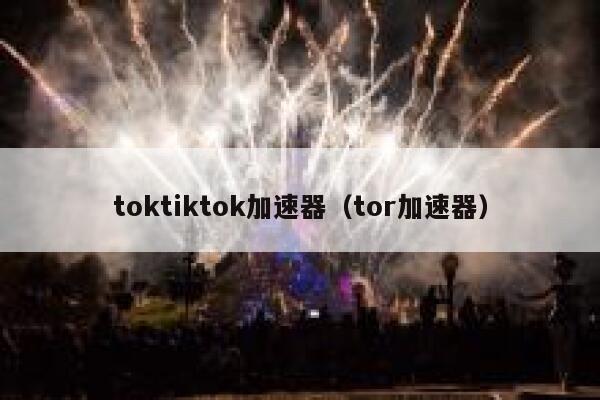 toktiktok加速器（tor加速器） 第1张