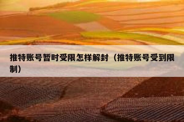 推特账号暂时受限怎样解封（推特账号受到限制） 第1张