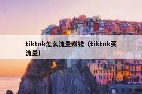 tiktok怎么流量赚钱（tiktok买流量） 第1张