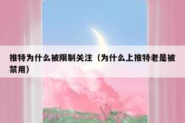 推特为什么被限制关注(为什么上推特老是被禁用) 第1张 推特为什么被限制关注(为什么上推特老是被禁用) 第1张