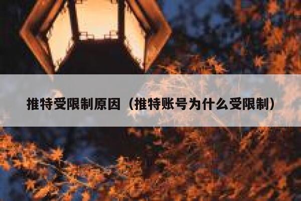 推特受限制原因（推特账号为什么受限制） 第1张