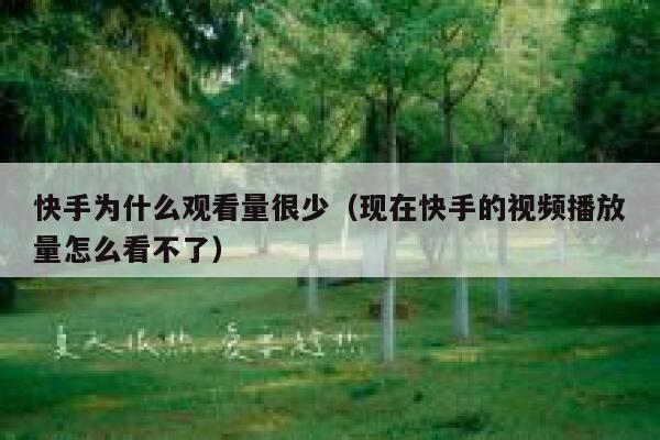快手为什么观看量很少（现在快手的视频播放量怎么看不了） 第1张