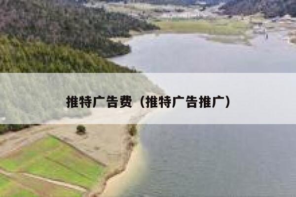 推特广告费(推特广告推广) 第1张 推特广告费(推特广告推广) 第1张