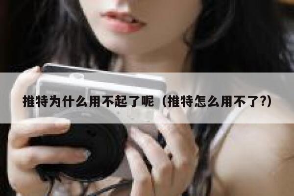 推特为什么用不起了呢（推特怎么用不了?） 第1张