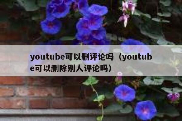 youtube可以删评论吗（youtube可以删除别人评论吗） 第1张