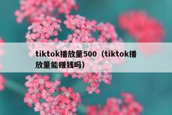 tiktok播放量500(tiktok播放量能赚钱吗) 第1张 tiktok播放量500(tiktok播放量能赚钱吗) 第1张