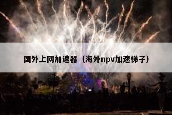 国外上网加速器(海外npv加速梯子) 第1张 国外上网加速器(海外npv加速梯子) 第1张