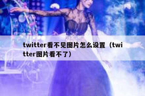 twitter看不见图片怎么设置（twitter图片看不了） 第1张