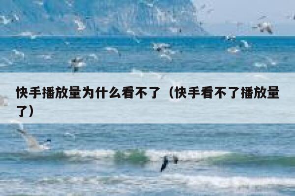 快手播放量为什么看不了（快手看不了播放量了） 第1张