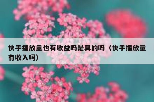 快手播放量也有收益吗是真的吗（快手播放量有收入吗） 第1张