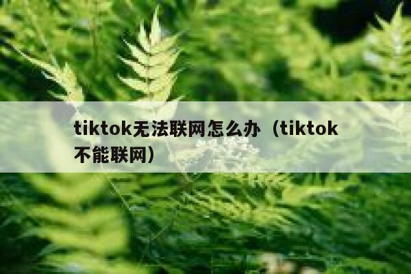 tiktok无法联网怎么办（tiktok不能联网） 第1张