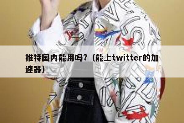 推特国内能用吗?（能上twitter的加速器） 第1张