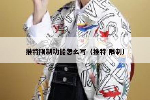 推特限制功能怎么写（推特 限制） 第1张