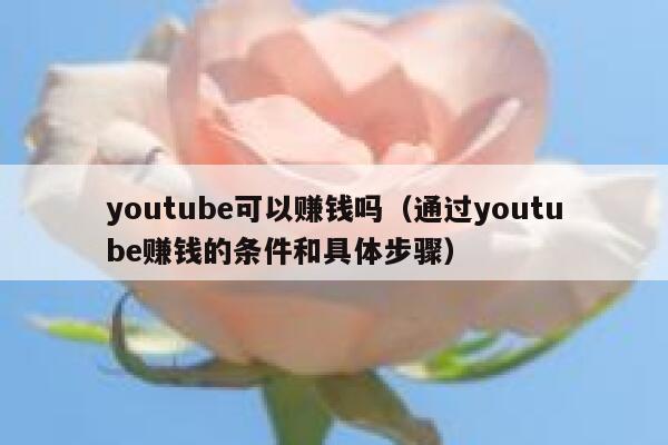 youtube可以赚钱吗(通过youtube赚钱的条件和具体步骤) 第1张 youtube可以赚钱吗(通过youtube赚钱的条件和具体步骤) 第1张