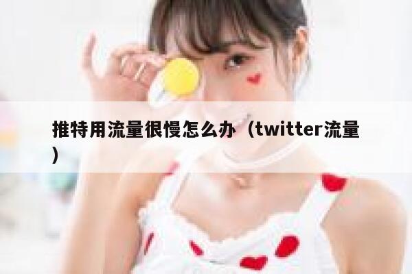 推特用流量很慢怎么办（twitter流量） 第1张