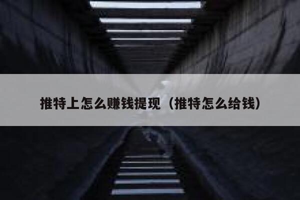 推特上怎么赚钱提现（推特怎么给钱） 第1张