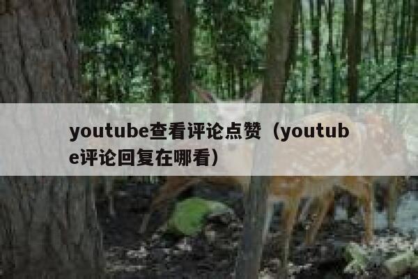 youtube查看评论点赞（youtube评论回复在哪看） 第1张