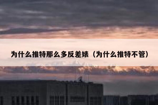 为什么推特那么多反差婊（为什么推特不管） 第1张