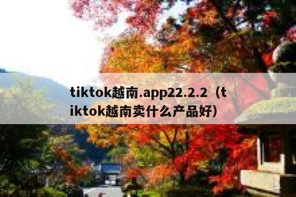 tiktok越南.app22.2.2（tiktok越南卖什么产品好） 第1张