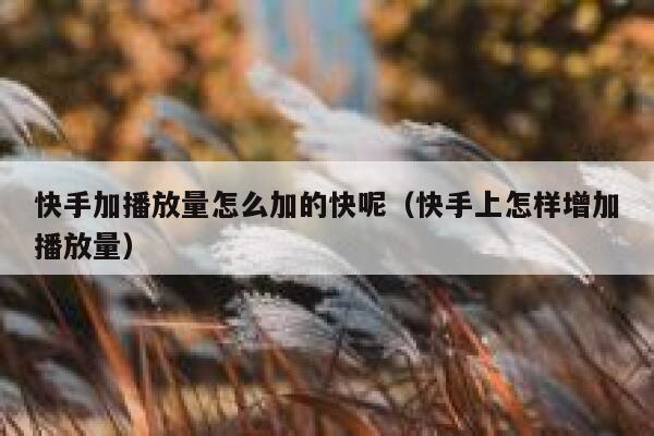 快手加播放量怎么加的快呢（快手上怎样增加播放量） 第1张