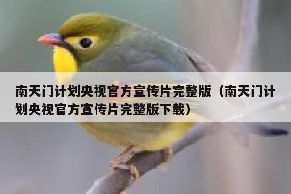 南天门计划央视官方宣传片完整版（南天门计划央视官方宣传片完整版下载） 第1张