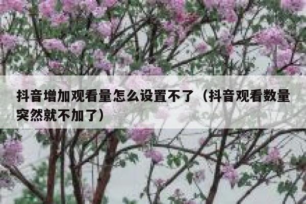 抖音增加观看量怎么设置不了（抖音观看数量突然就不加了） 第1张