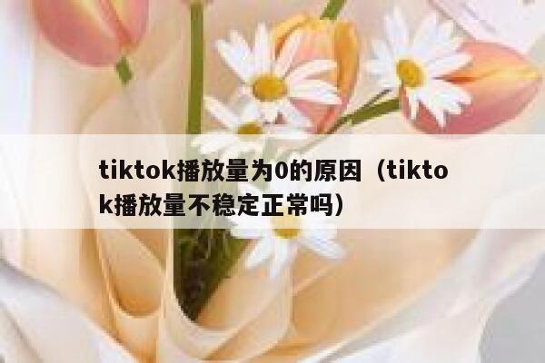 tiktok播放量为0的原因（tiktok播放量不稳定正常吗） 第1张