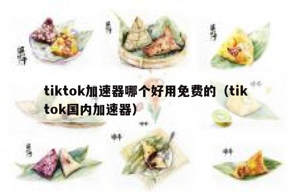 tiktok加速器哪个好用免费的（tiktok国内加速器） 第1张