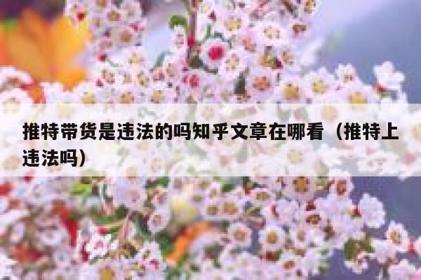 推特带货是违法的吗知乎文章在哪看(推特上违法吗) 第1张 推特带货是违法的吗知乎文章在哪看(推特上违法吗) 第1张