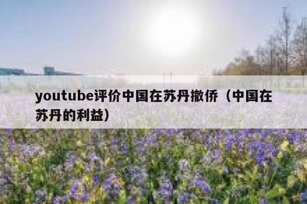 youtube评价中国在苏丹撤侨(中国在苏丹的利益) 第1张 youtube评价中国在苏丹撤侨(中国在苏丹的利益) 第1张