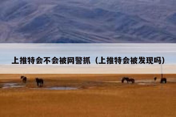 上推特会不会被网警抓(上推特会被发现吗) 第1张 上推特会不会被网警抓(上推特会被发现吗) 第1张