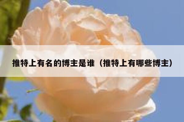 推特上有名的博主是谁(推特上有哪些博主) 第1张 推特上有名的博主是谁(推特上有哪些博主) 第1张