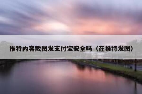 推特内容截图发支付宝安全吗(在推特发图) 第1张 推特内容截图发支付宝安全吗(在推特发图) 第1张
