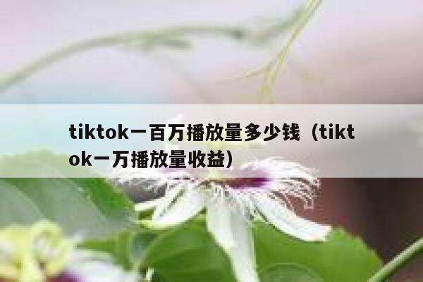 tiktok一百万播放量多少钱(tiktok一万播放量收益) 第1张 tiktok一百万播放量多少钱(tiktok一万播放量收益) 第1张